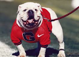 Got a game you are looking for? History Of Uga The Mascot University Of Georgia Athletics