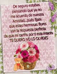 Ya No Me Acuerdo De Nuestra Amistad Frases De Amistad Frases Para Amigas Especiales Imagen Con Frases Bonitas