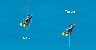 Gaya Gravitasi Pengertian Fakta Menarik Dan Manfaat