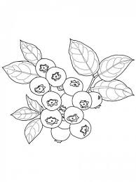 Entdecke rezepte, einrichtungsideen, stilinterpretationen und andere ideen zum ausprobieren. Disegni Di Frutta 144 Immagini Da Colorare E Stampare A Tutto Donna