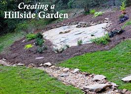We believe in having one landscape designer handle the job from its conception on paper, to the realization on your property. Hillside Landscape Makeover With Southern Living Plant Collection Deeply Southern Home