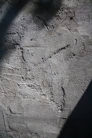 Paint is an easy way to make the basement feel warmer, brighter, and more welcoming. Pin On Basement