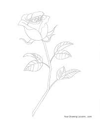 Now draw the stem and add in details like leaves etc. Drawing Rose Drawing Step By Step How To Draw A Rose Stem