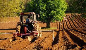 Terenuri extravilane in toata romania. Romania Se Mandreste Cu Programul Viticol Si Cu Agricultura Ecologica Ecomagazin Ro