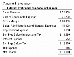 Construction Company Profit And Loss Statement Template Profit And Loss Statement Statement Template Balance Sheet