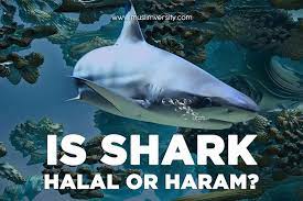 I saw the halal cert in the shop. Is Octopus Haram Sunni List Of Halal Seafood And Haram Seafood According To Islam Eating Octopus Is Haram Forbidden
