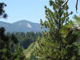 Zillow has 10 homes for sale in cle elum wa matching yakima river. 75 Cle Elum Wa Lot Land For Sale Movoto