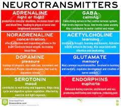 Neurotransmitters Stock Illustration Illustration Of Concentration 70913960 Pharmacology Nursing Psychiatric Nursing Emotional Health