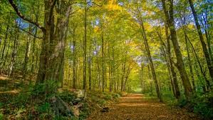 Raccoon creek state park trail map. Raccoon Creek State Park A Massive Park To Explore