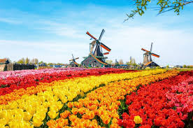 The highest point in the netherlands is vaalserberg in limburg at 323m. 10 Best Tours In Amsterdam Netherlands 2021 Road Affair