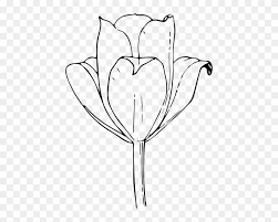 Free clipart bouquet of flowers clipart images gallery for. Tulip Flower Clip Art Free Vector 4vector Tulips Coloring Pages Free Transparent Png Clipart Images Download
