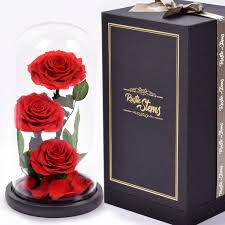 For those who want to give their loved ones a gift that will last forever, preserved flowers in singapore with same day delivery is always a good idea. Preserved Roses In Glass Dome Luxury Rustic Stems