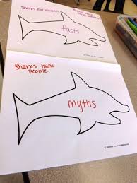 Ocean shells graphing from one time through graphing is an important math skill that can be introduced to preschoolers. Ocean Animals 4 Ways Science Language Math And Art For Preschool And Kindergarten Kidssoup