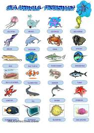 Sea Animals Pictionary Sea Animals Preschool Sea Animals Animal Worksheets