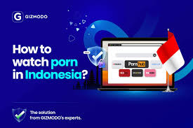 How to Watch Porn in Bali and Indonesia in 2025