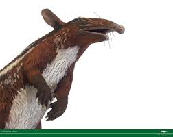 Vitor Silva - Paleoartista: Leptictidium