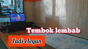 Terlihat menarik untuk hiasan dinding ruang tamu, anda bisa memasangnya sebagai backgound di belakang sofa. Cara Mengatasi Dinding Rumah Yang Lembab Cat Yang Mengelupas Youtube