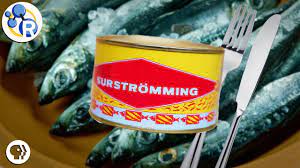 Surstromming, swedish for sour herring, is legendary for its powerful stink. Surstr Ouml Mming Secrets Of A Stinky Swedish Fish Accessscience From Mcgraw Hill Education