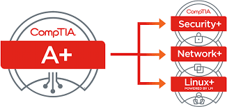 Comptia a+ certification practice test questions, comptia a+ exam practice test questions. Buy Comptia Linux Certification Buy Linux Cert V Best It Certificate Selling Website Registered Documents