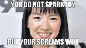 You Do Not Spark Joy But Your Screams Will Maria Kondo Meme Funny Funny Memes Joy Memes