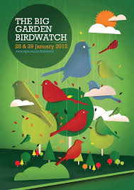 Crayonfire Neil Stevens Illustration The Big Garden Birdwatch Poster Illustration Creation Graphique Creations