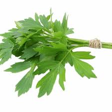 The first year, harvest parsley for its leaves, choosing stalks furthest out from the plant's center. Sence Agric Sence Agric Funtips Lovage Levisticum Officials Is A Tall Perennial Plant The Sole Species In The Genus Levisticum In The Family Apiaceae Subfamily Apioideae The Entire Plant Is