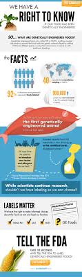 Infographic What Are Gmos Genetically Modified Food Nutrition Infographic