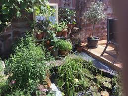Unser Neuer Garten Angefangen Aus Einer Rasenflache Im Marz Das Ergebnis Im Juni Garten Neu Anlegen Www Muhvie De Garten Pflanzen Bepflanzung