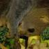 Little potto makes big debut at Cincinnati Zoo