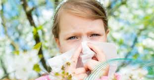 HAY FEVER? Are there any natural remedies?