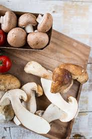 Pilz Tarte Mit Wildkrautersalat Rewe 7xregional Werbung Rezept Lebensmittel Essen Pilze Rezepte Mit Pilzen