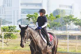 Anak kuda in a sentence and translation of anak kuda in english dictionary with audio pronunciation by dictionarist.com. Sekolah Berkuda Surabaya Pandesa Riding School