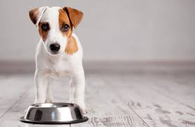 There is a limit of one 50g sample per pet, per household. 11 Best Dog Foods For Puppies 2021 Reviews Top Dry Wet Formulas