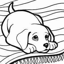 Cucciolo Disegni Da Colorare Pagine Da Colorare Per Adulti Libri Da Colorare