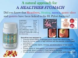 Stomapure Natural Health Supplement Www Fkcn Com 5518337 Kesehatan