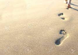 Sand, beach, holiday, lifestyle, footprints, and nature api. Human Footprints In The Sand On The Beach Stock Photo Picture And Royalty Free Image Image 14098989
