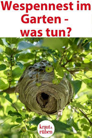 Pin Auf Tiere Im Garten