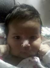 Gianni Giovani Cohenotti Obituary (2013