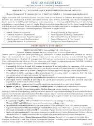 Resume sample of a sales and operations executive with close to two decades of proven experience throughout sales, customer service, workforce development, and operations. Resume Format For Experienced Customer Service Executive