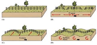 Earthquakes are a sudden and quick shock of the earth's surface. S Waves Are Seismic Waves