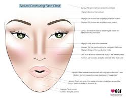 This Chart Will Turn You Into A Highlighting And Contouring Pro Makeup Contour Makeup Contouring And Highlighting