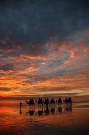 After our gibb river adventure in may last year we headed further west to spend some time in broome. Cable Beach Desert Safari Dubai Scenery Places To Visit