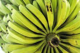 Researchers have developed a new artificial intelligence system (ai) which can look at photographs and tell what disease the plant has and also give recommendations and treatment options to the farmers. Artificial Intelligence Helps Banana Growers Protect The World S Most Favorite Fruit Eurekalert Science News