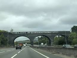 Image result for give peas a chance m25