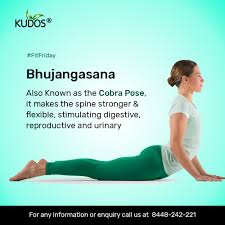 Bhujangasana The Cobra Pose Yoga Facts Easy Yoga Workouts Yoga Benefits