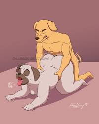 Rule34 - If it exists, there is porn of it  mr. peanutbutter, pickles  aplenty  3317884