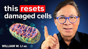 Could we treat spinal cord injuries with asparagus?