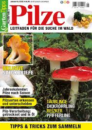 Mein waldgarten pilze im garten from pilze im garten. Garten Tipps Kompakt Pilze 01 2021