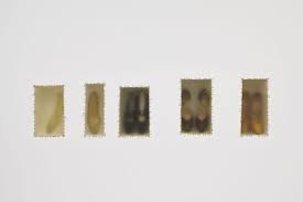 Atrabiliarios (atrabilious) doris salcedo 1992/1993. Atrabiliarios Icaboston Org