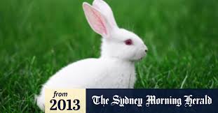 Check spelling or type a new query. L Oreal Buys Back Into Tests On Animals